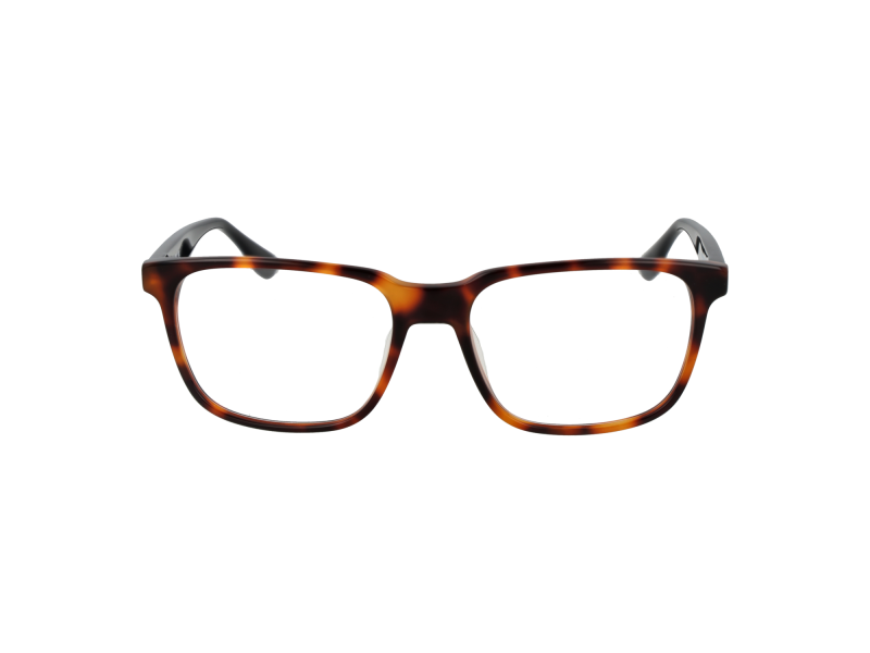 BMW Optical Frame BW5063-H 053 55