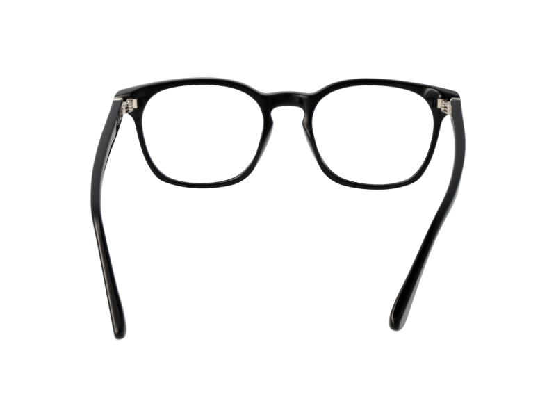 Web Optical Frame WE5410 001 52