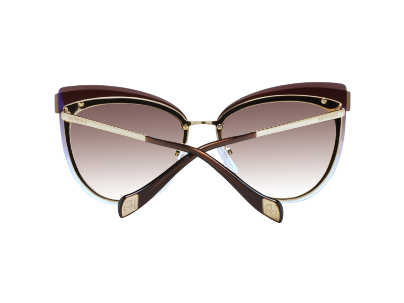Ana Hickmann Sunglasses AH3178 04C 66
