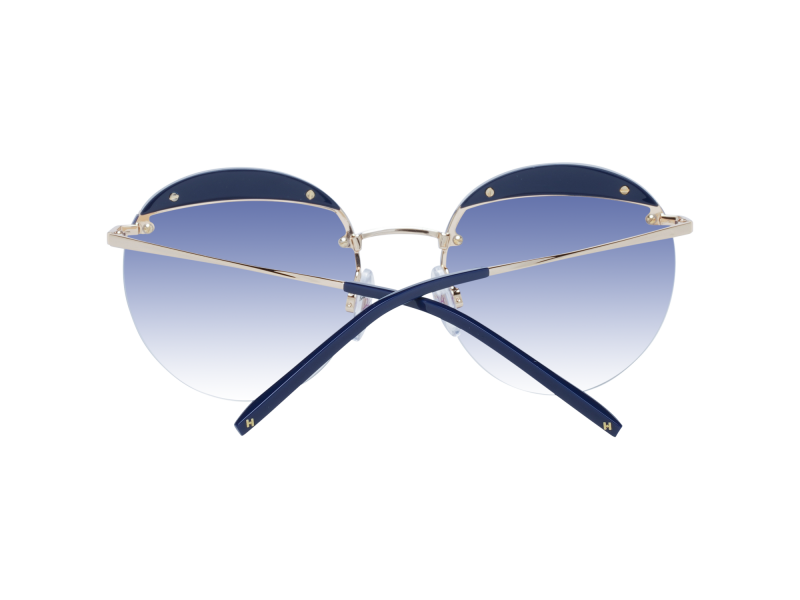 Ana Hickmann Sunglasses HI3110 D01 54