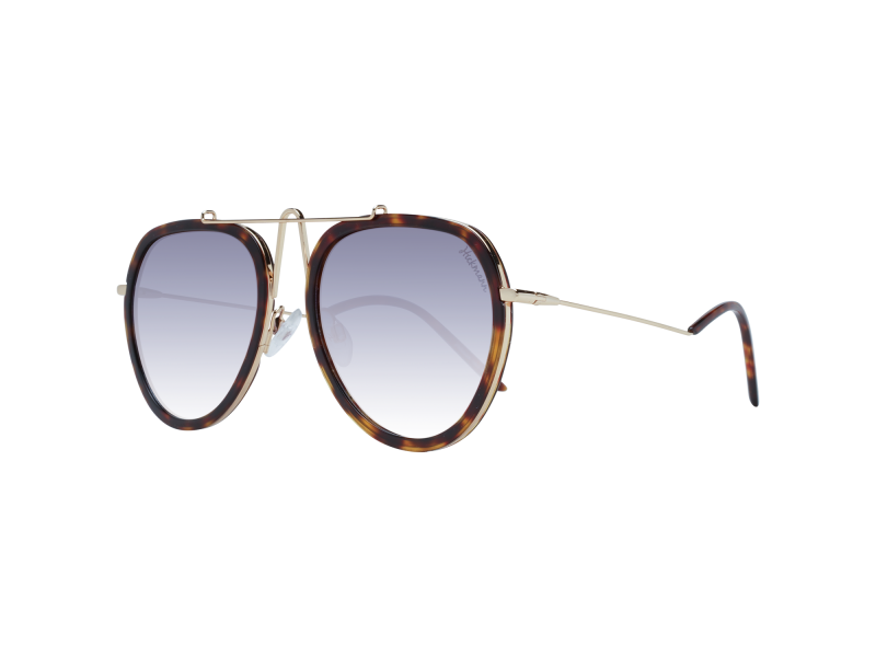 Ana Hickmann Sunglasses HI3070 G21 58