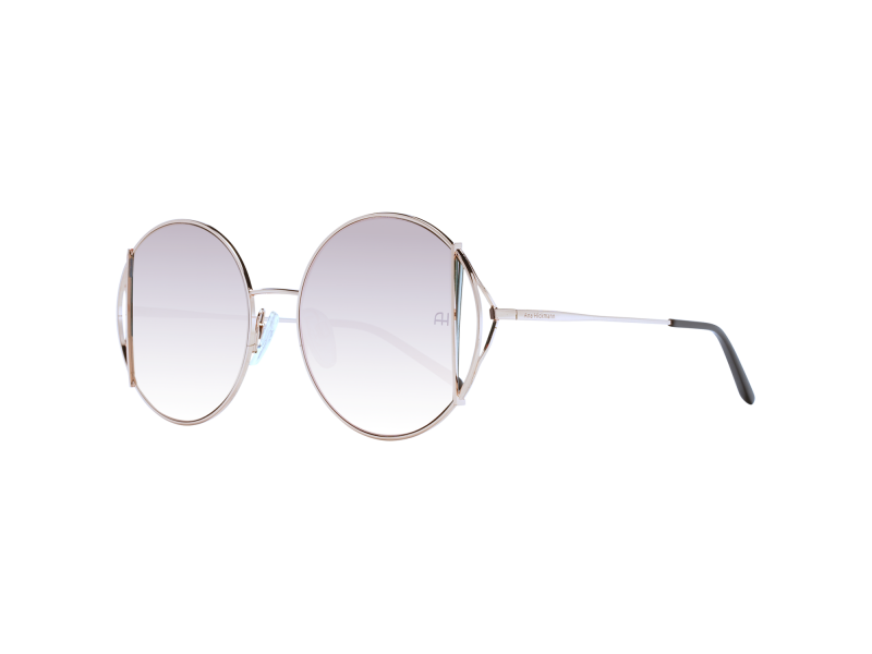 Ana Hickmann Sunglasses AH3192 04D 53