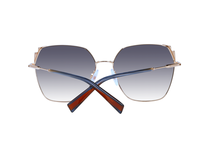 Ana Hickmann Sunglasses HI3169 12A 58