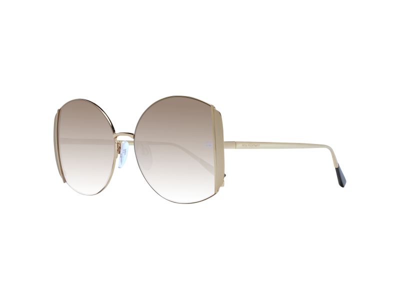 Ana Hickmann Sunglasses AH3188 04A 57