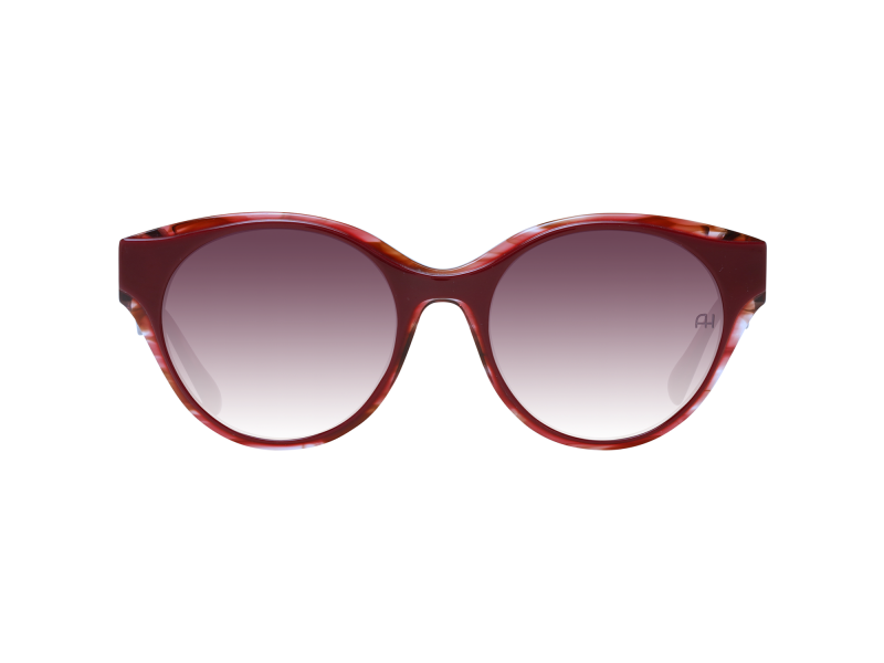 Ana Hickmann Sunglasses AH9345 H03 51