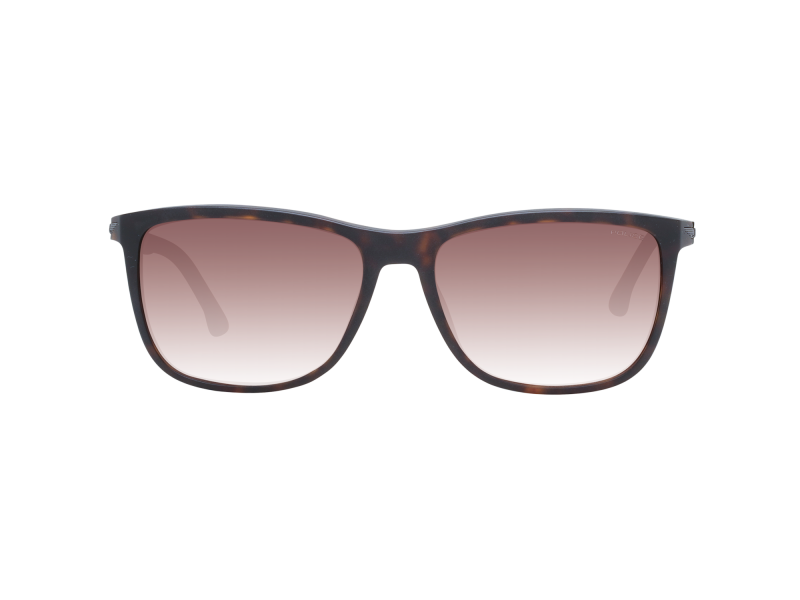 Police Sunglasses SPLC35M 0738 57