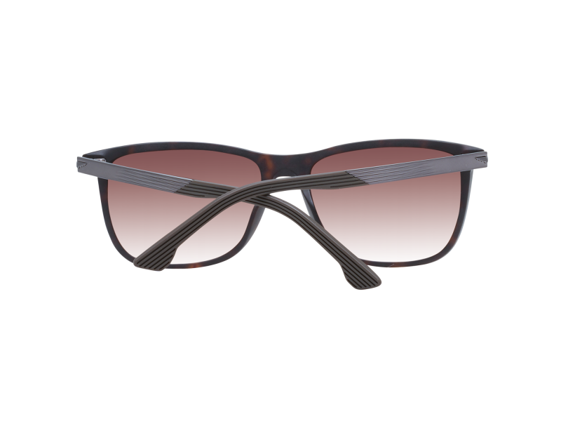 Police Sunglasses SPLC35M 0738 57