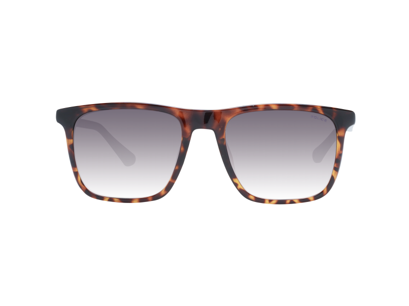 Police Sunglasses SPLF17 0978 54