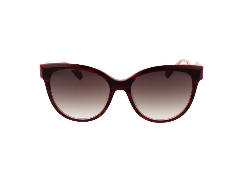 Ana Hickmann Sunglasses AH9382 E02 55