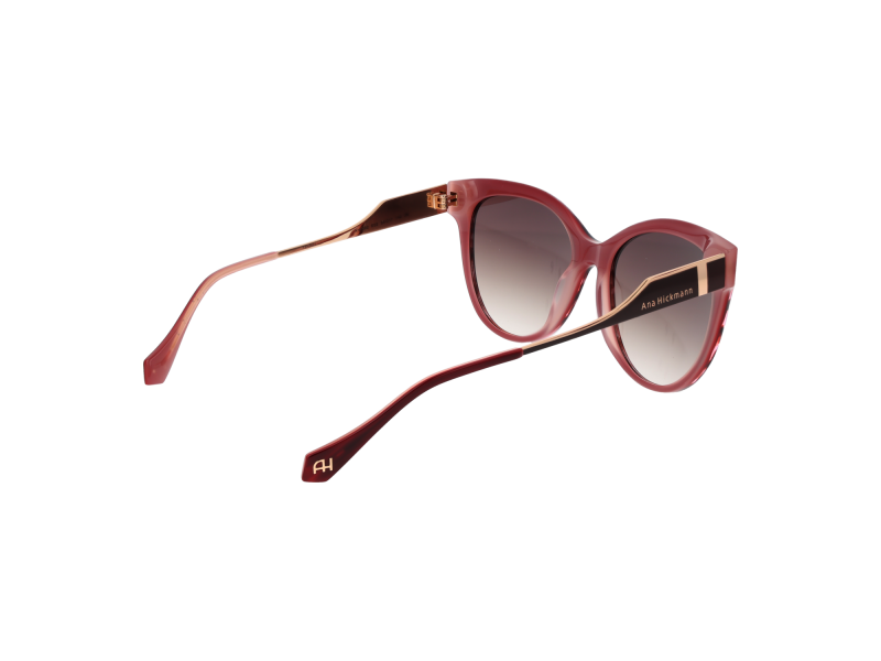 Ana Hickmann Sunglasses AH9382 E02 55