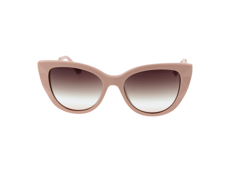 Ana Hickmann Sunglasses AH9419 D01 53