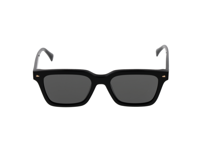 Ana Hickmann Sunglasses HI9172 A01 52