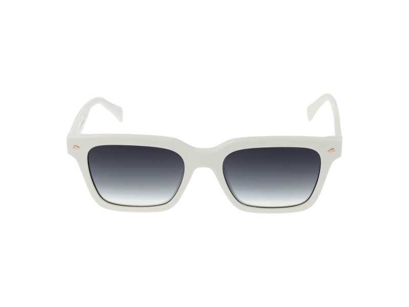 Ana Hickmann Sunglasses HI9172 D01 52