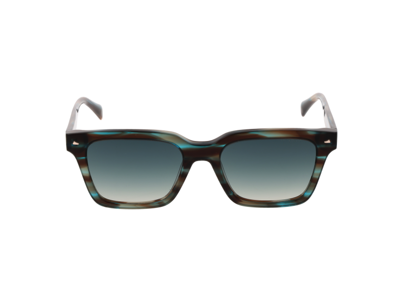 Ana Hickmann Sunglasses HI9172 E01 52