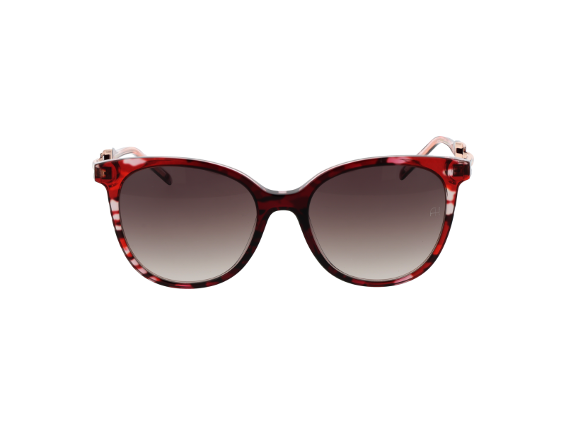 Ana Hickmann Sunglasses AH9347 C02 53