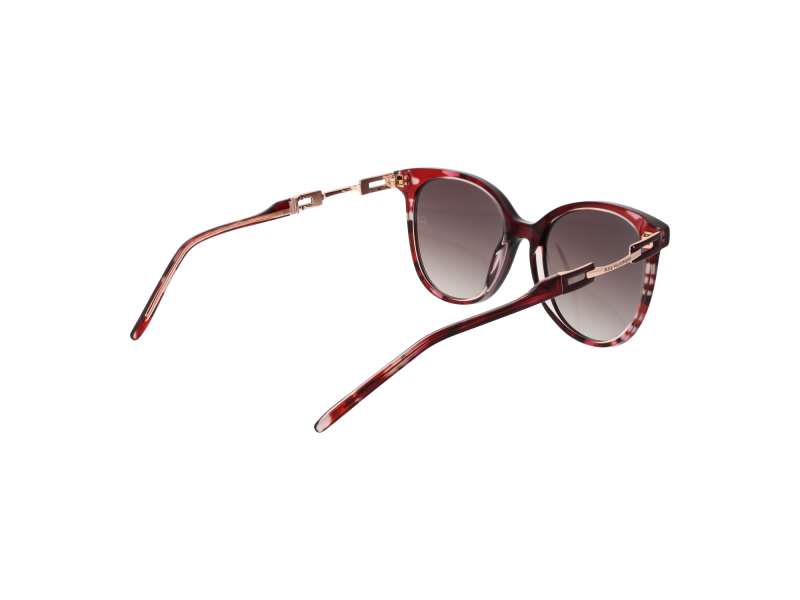 Ana Hickmann Sunglasses AH9347 C02 53