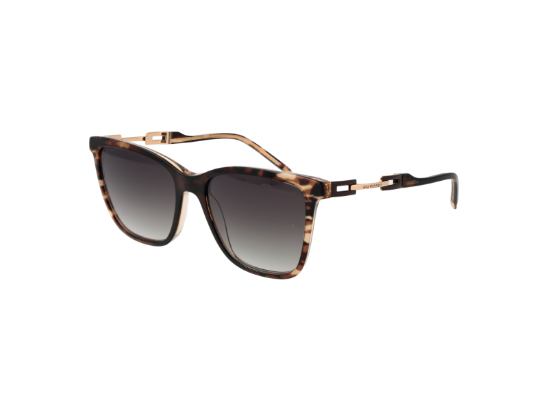Ana Hickmann Sunglasses AH9348 C01 55