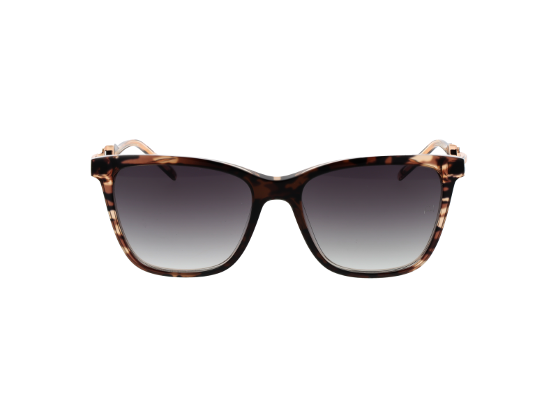Ana Hickmann Sunglasses AH9348 C01 55