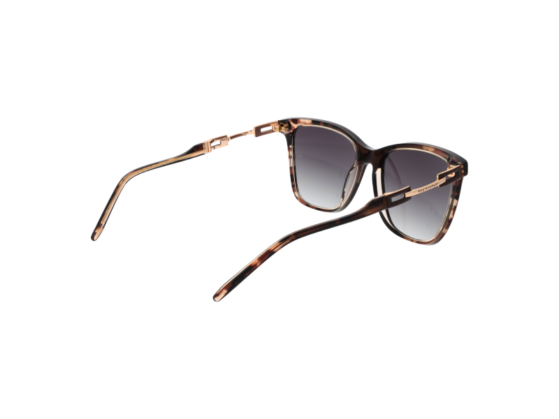 Ana Hickmann Sunglasses AH9348 C01 55