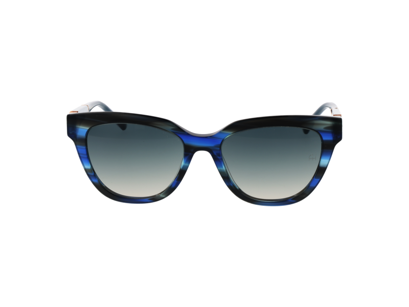 Ana Hickmann Sunglasses AH9356 E01 53