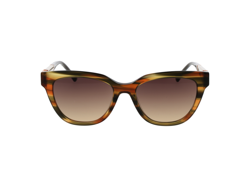 Ana Hickmann Sunglasses AH9356 E02 53