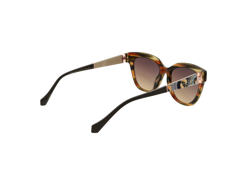Ana Hickmann Sunglasses AH9356 E02 53