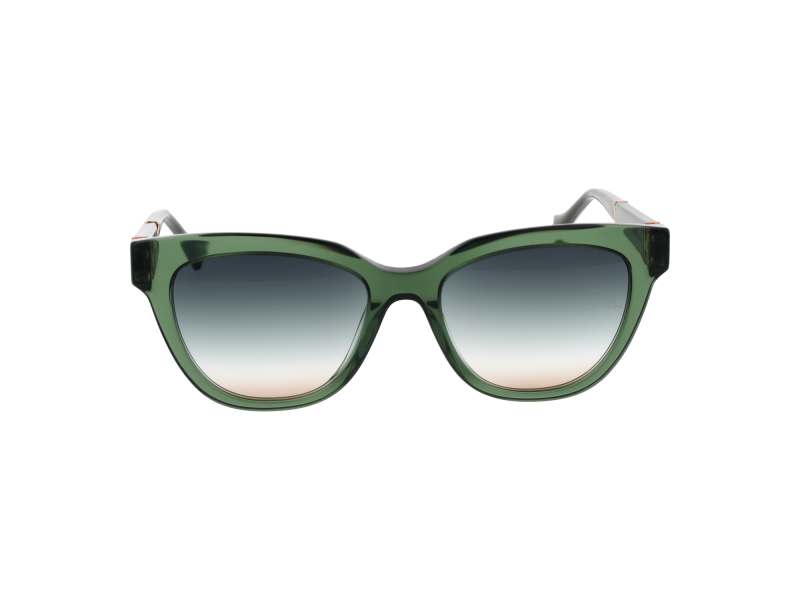 Ana Hickmann Sunglasses AH9356 T01 53