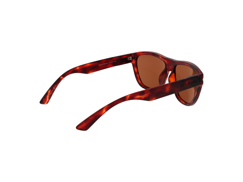Serengeti Sunglasses SS601002 Pancho
