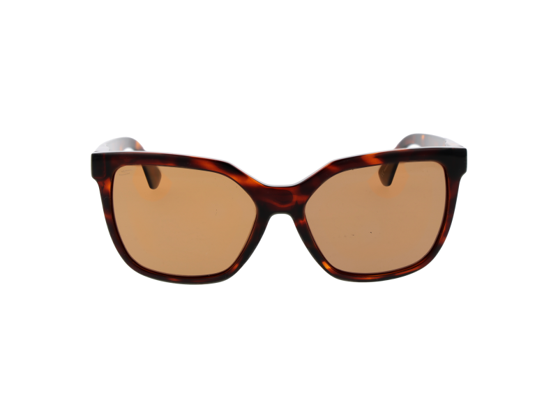 Serengeti Sunglasses SS536004 Wakota