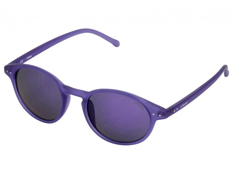 SUNGLASSES STING MAN SS6515487SFV (Lens/Bridge/Temple) 48/20/140 mm)