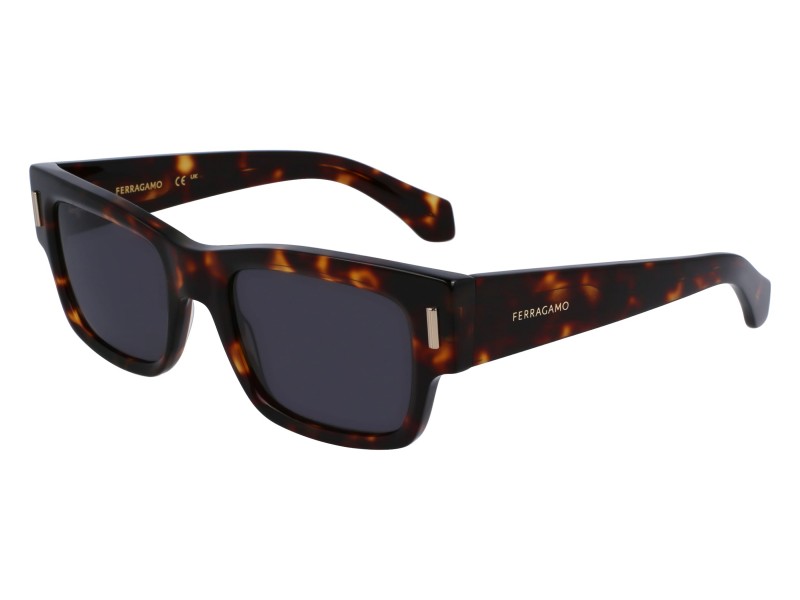 SUNGLASSES FERRAGAMO MAN SF2011S-242 (Lens/Bridge/Temple) 53/21/140 mm)