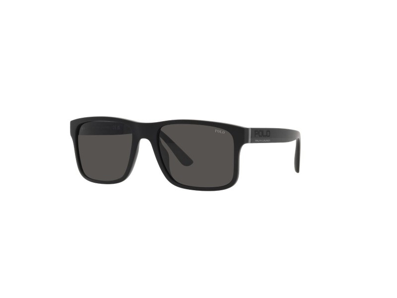 POLO PH Men Sunglasses 4195U/500187/57