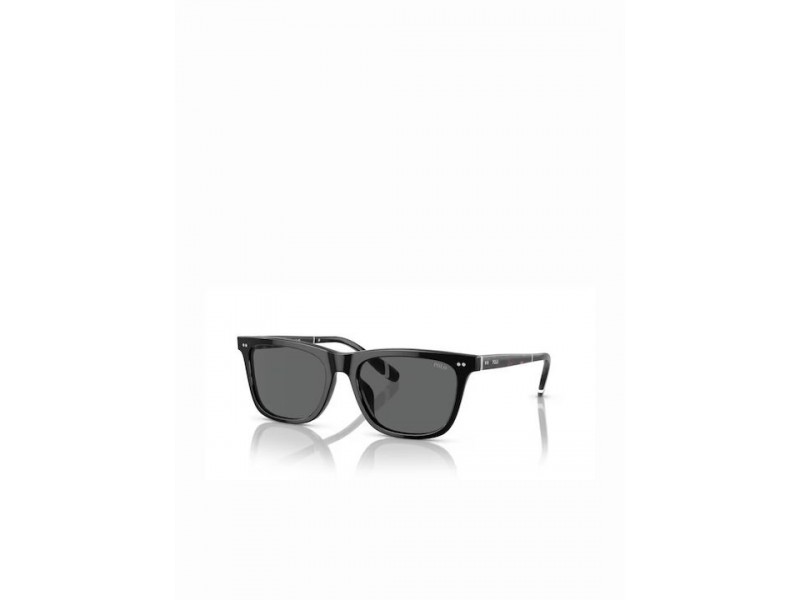 POLO PH Men Sunglasses 4205U/500187/56