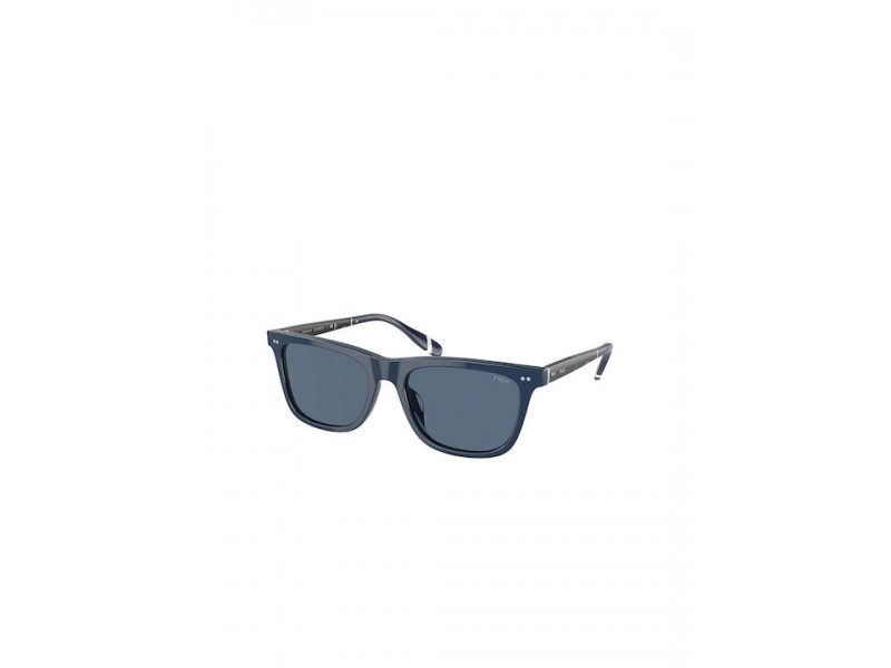 POLO PH Men Sunglasses 4205U/546580/56