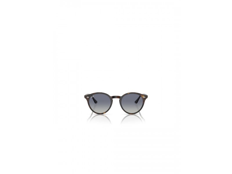 Ray-Ban Unisex Sunglasses 2180/710/4L/49
