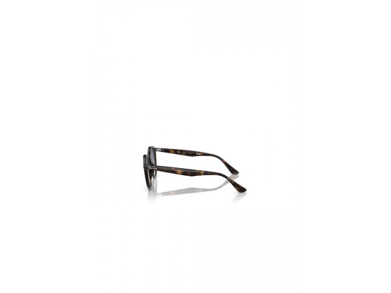 Ray-Ban Unisex Sunglasses 2180/710/4L/49