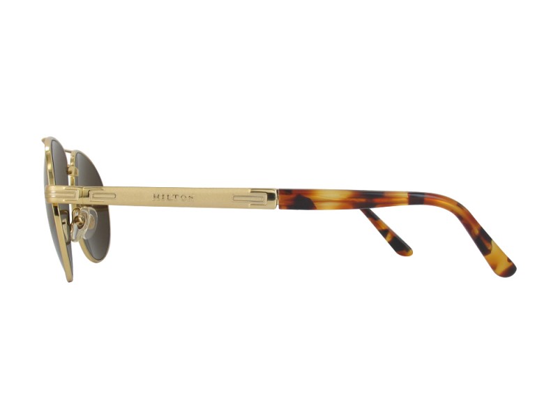 HILTON Sunglasses HIL-925YG-56