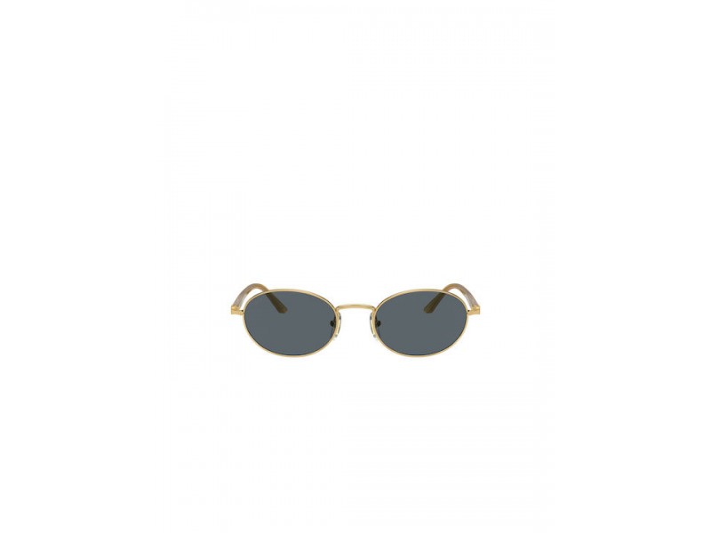 PERSOL Unisex Sunglasses 1018S/1129R5/52