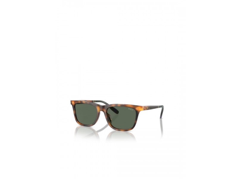 POLO PH Men Sunglasses 4205U/608971/56