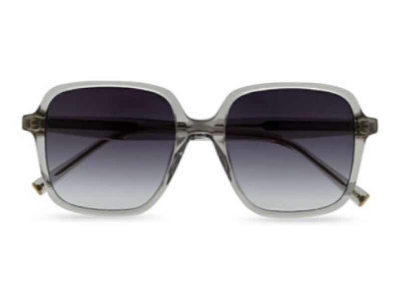 TED BAKER Women Sunglasses TB1688/909/52