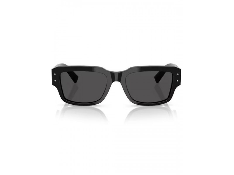 DOLCE & GABBANA Unisex Sunglasses 4483/501/87/54