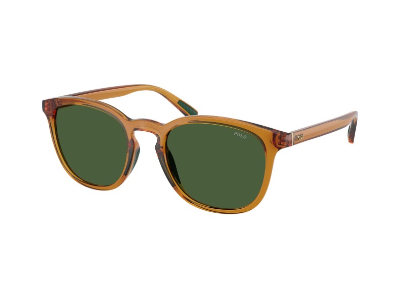 POLO PH Unisex Sunglasses 4222U/620971/52