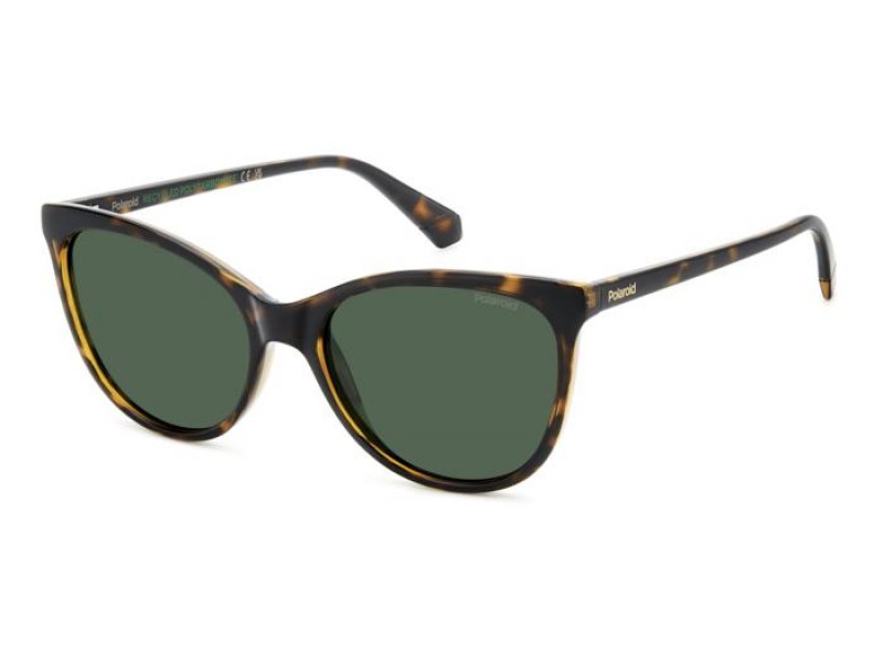 POLAROID Women Sunglasses PLD4179/S/086UC/55