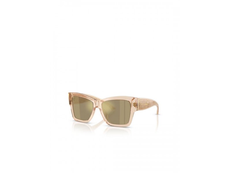 DOLCE & GABBANA Women Sunglasses 4493/343203/55