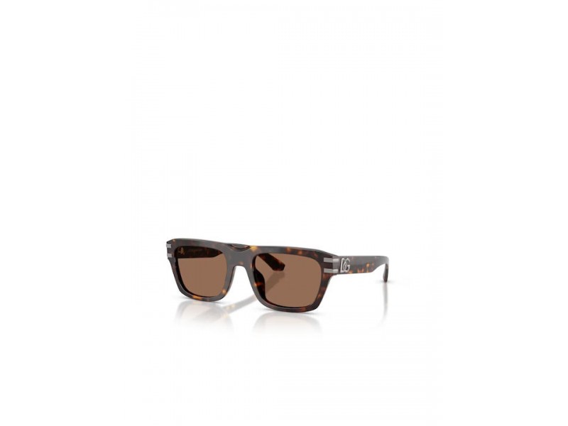 DOLCE & GABBANA Unisex Sunglasses 4496/502/73/54
