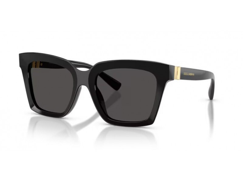 DOLCE & GABBANA Women Sunglasses 4498/501/87/55