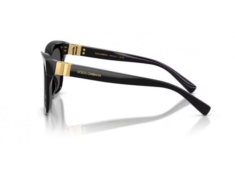 DOLCE & GABBANA Women Sunglasses 4498/501/87/55