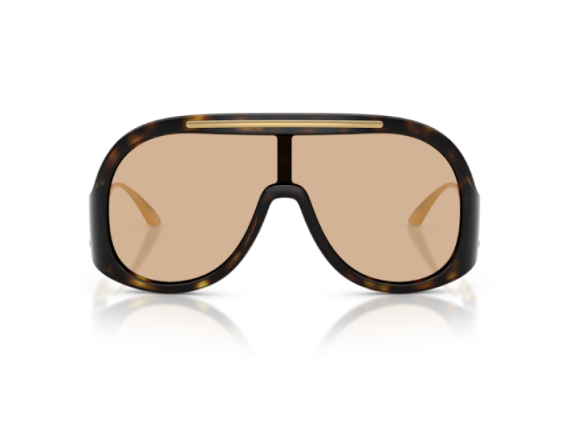 DOLCE & GABBANA Women Sunglasses 6202/502/93/28