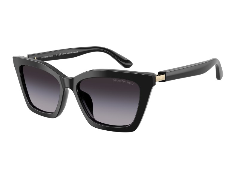 EMPORIO ARMANI Women Sunglasses 4250U/50178G/54
