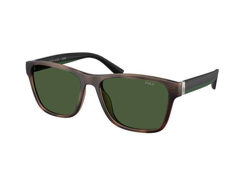 POLO PH Men Sunglasses 4229U/607071/56